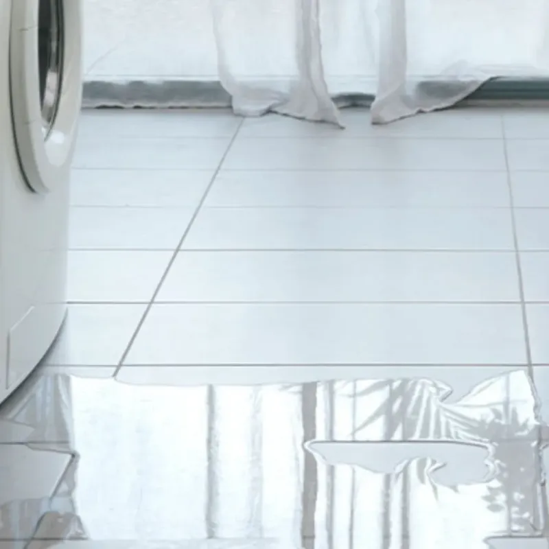 Appliance Leak Cleanup in Des Arc, AR