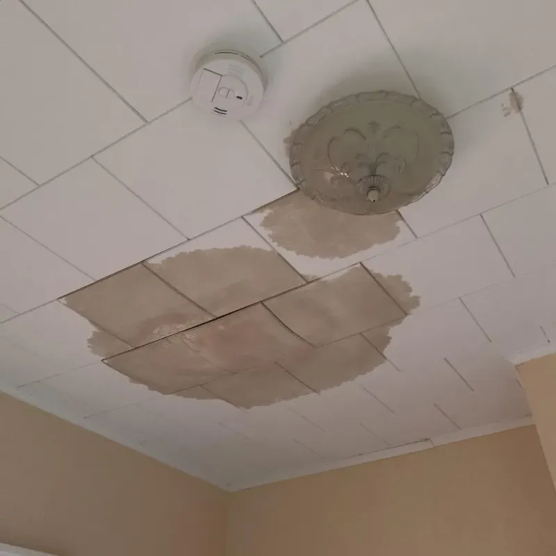 Ceiling Water Damage Repair in Des Arc, AR